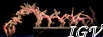 IGV - International Gymnastics Videos