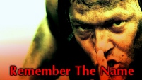 Remember The Name - Daryl Dixon