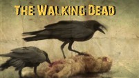 The Walking Dead (S2 tribute)