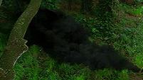 The Black Smoke Monster : The Reflecting God